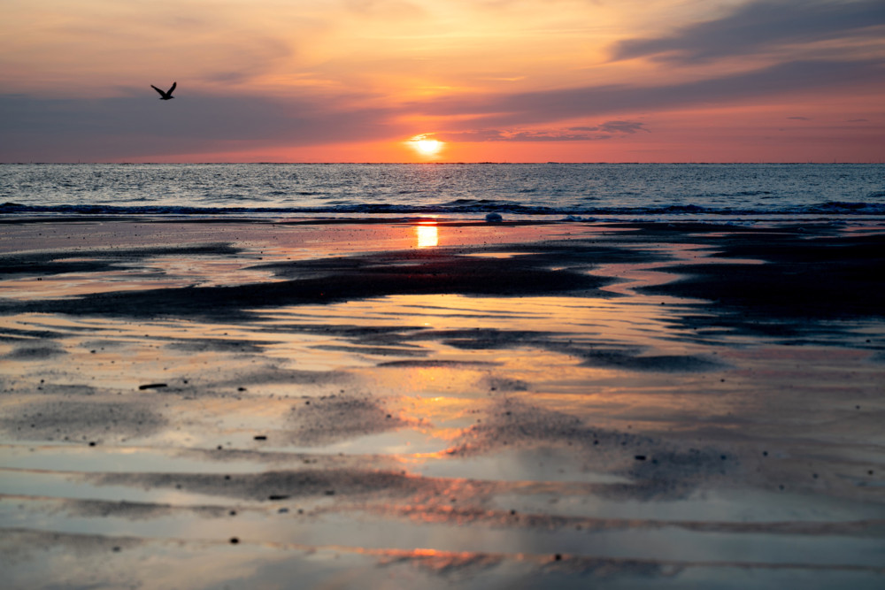 Forum / Entscheidende Bedeutung für die Weltwirtschaft: Ozeanfinanzierung muss neu gedacht werden