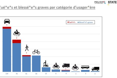 Tödlich und schwer Verletze nach Fahrzeugtyp im Luxemburger Straßenverkehr im Jahr 2024