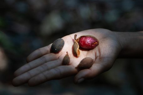 Kunst-Sommer hat begonnen / Kunst als Werkzeug des Wandels: „Assembling Grounds. Praktiken der Koexistenz“ im ZKM Karlsruhe