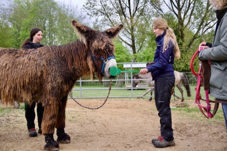 Escher Tierpark / Tiertraining mit Feingefühl: Wie Tiere zu Kooperationspartnern werden