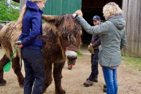 Auf Augenhöhe: Nur wer zuhört, kann Verhalten wirklich verstehen