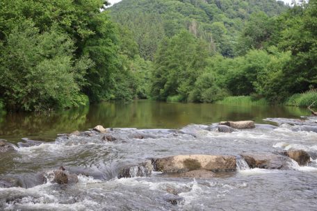 Unberührtes Luxemburg (8) / Die Kalborner Mühle bringt bedrohte Muscheln in die Bäche der Großregion zurück