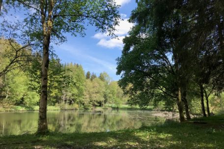 Unberührtes Luxemburg (9) / Das Naturschutzgebiet Rossmillen ist ein Rückzugsraum für Vögel und Fische