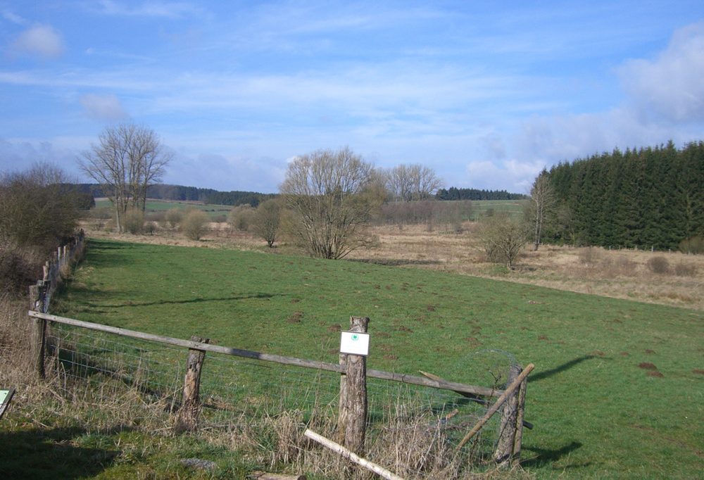 Unberührtes Luxemburg (10) / Grenzüberschreitendes Projekt schafft im Naturreservat „Auf der Woltz“ neue Lebensräume