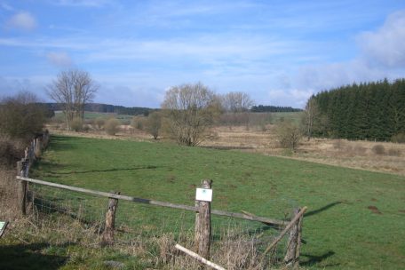 Unberührtes Luxemburg (10) / Grenzüberschreitendes Projekt schafft im Naturreservat „Auf der Woltz“ neue Lebensräume