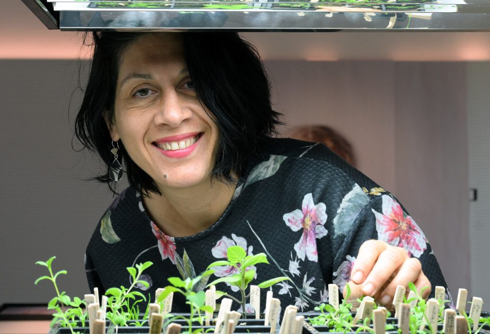 Die Magie des Vergänglichen / Justine Blau befasst sich in ihren Werken intensiv mit Mensch und Natur. Ein Gespräch.