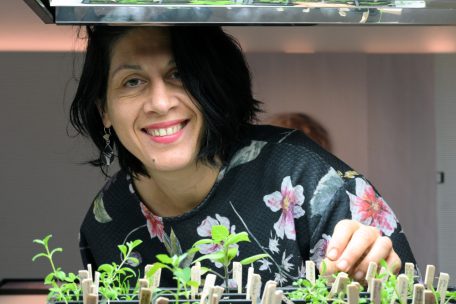 Die Magie des Vergänglichen / Justine Blau befasst sich in ihren Werken intensiv mit Mensch und Natur. Ein Gespräch.