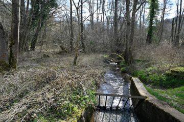 Petingen / Statt Hotel- und Wellnessanlage: Bürgerinitiativen fordern Wasser- und Quellenschutz für Gebiet „Doihl“