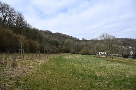 Blick auf das Gebiet für Hotel und Wellness: im Hintergrund das Scoutchalet