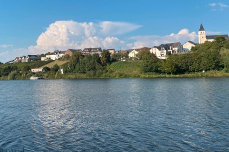 Moselufer bei Palzem, gegenüber von Stadtbredimus