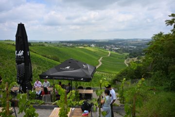 Domaine Tageblatt / Wohnen, wo der Wein wächst: Gespräch mit drei Winzern, die es wissen wollen