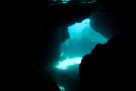 Marianengraben / Wissenschaftler entdecken zahlreiche Tiere in fast 10.000 Metern Tiefe