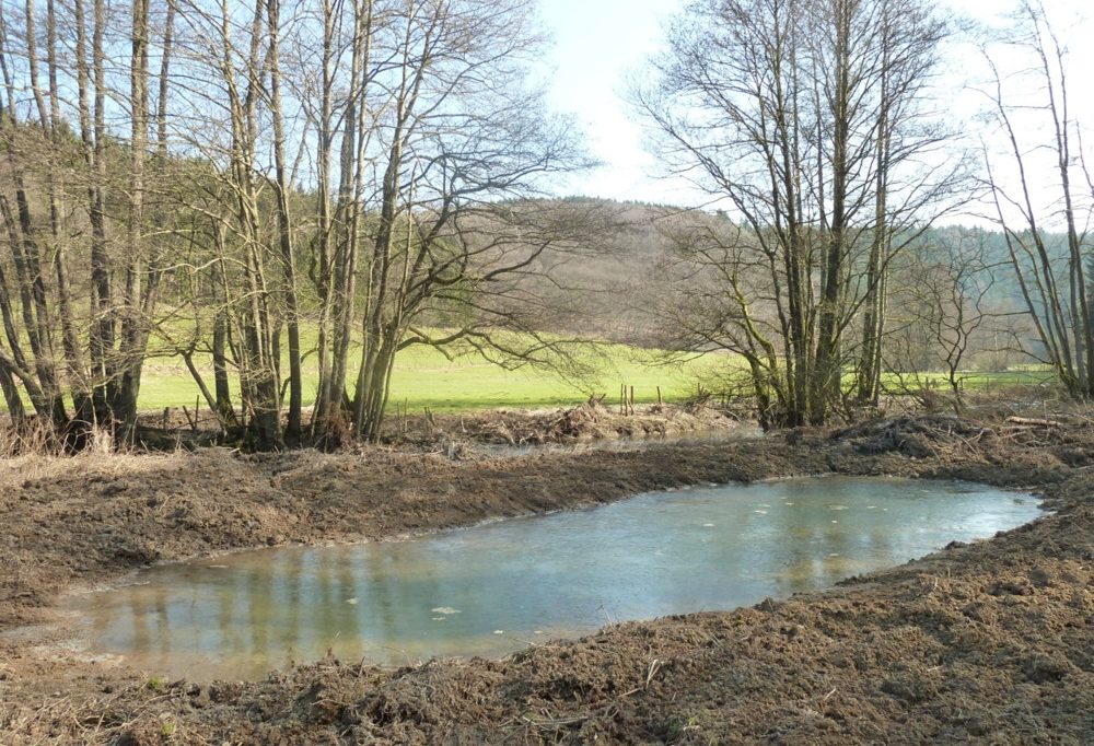 Unberührtes Luxemburg (12) / Labich & Bann: Naturschutzgebiet statt touristisch genutzter Stausee