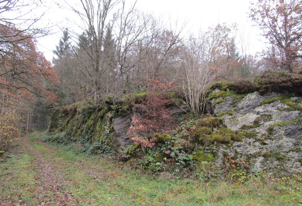 Unberührtes Luxemburg (13) / Auf Ehrlick, Ierplescht & Muderbach:  Traditionelle Ardennenlandschaft mit kargen und felsigen Böden