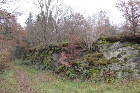 Unberührtes Luxemburg (13) / Auf Ehrlick, Ierplescht & Muderbach:  Traditionelle Ardennenlandschaft mit kargen und felsigen Böden