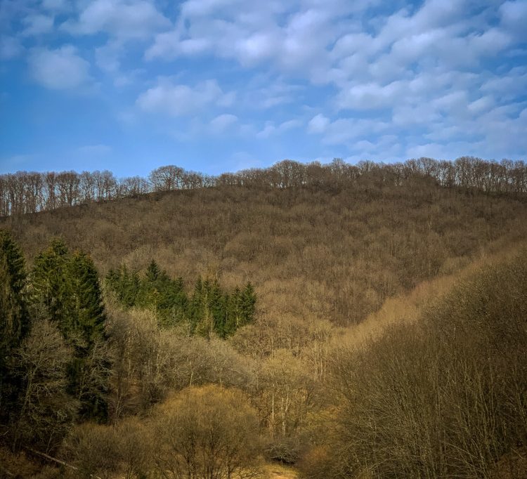 Unberührtes Luxemburg (15) / An der Blees: Feuchtes Brachland im Norden wartet darauf, wieder aufgewertet zu werde
