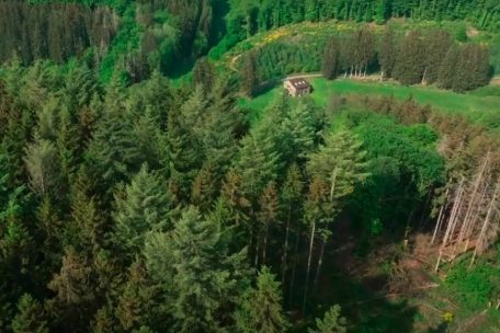 Unberührtes Luxemburg (17) / Bëttlerbaach: Einzigartige Landschaft um das kleine Dorf Surré