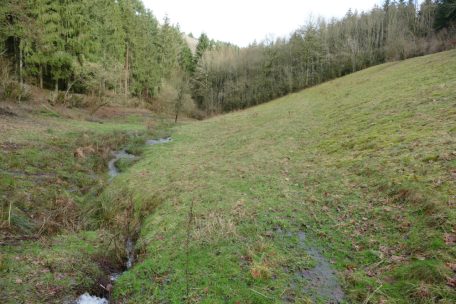 Unberührtes Luxemburg (18) / Naturschutzgebiet Bungerëffer Millen & In Hohlsber: Auf den Spuren eines oft vergessenen Kulturerbes