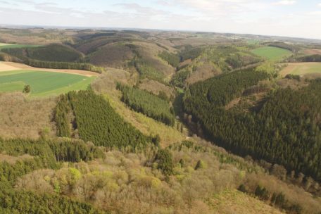 Unberührtes Luxemburg (21) / Die Teiche im Naturreservat Riedergrënn sind besonders attraktiv für Amphibien und Vögel