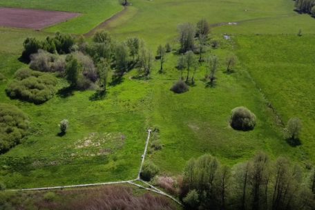 Unberührtes Luxemburg (22) / Im Naturschutzgebiet Marais de Grendel wächst Artenvielfalt über Grenzen hinweg