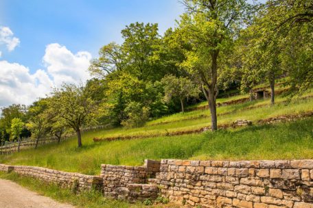 Unberührtes Luxemburg (26) / Die Hëlt erleben: Vom Dolomit-Mäander zu seltenen Orchideen