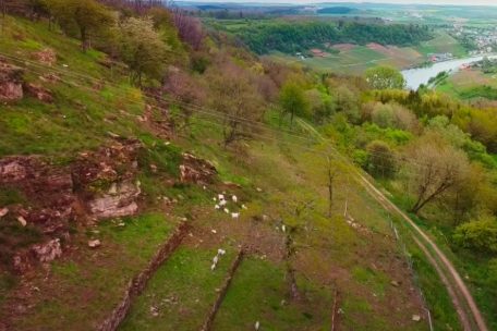 Unberührtes Luxemburg (28) / Der Haangeberreg im Wandel: Zwischen Reben, Ziegen und neuen Lebensräumen