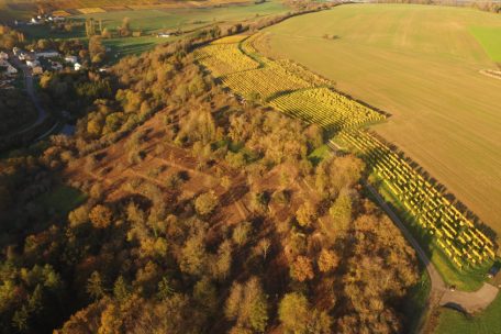 Unberührtes Luxemburg (29) / Von alten Winzerterrassen zum Naturparadies – die Wiederentdeckung des Gëllebierg