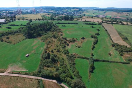 Unberührtes Luxemburg (30) / Ënner dem Reisch: Schutzgebiet zwischen den beiden letzten großen Wacholdervorkommen