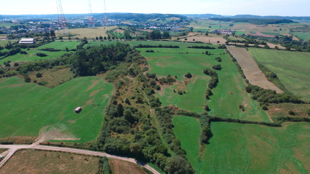 Unberührtes Luxemburg (30) / Ënner dem Reisch: Schutzgebiet zwischen den beiden letzten großen Wacholdervorkommen