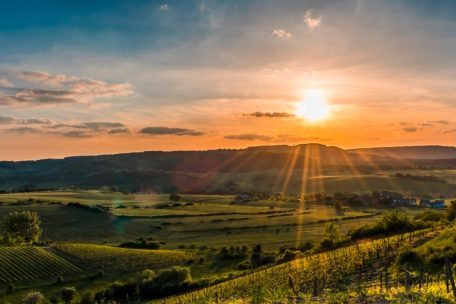 Unberührtes Luxemburg (35) / Scheierbierg, Fuusselach & Hiewelbierg: Einer der wertvollsten Halbtrockenrasen im Südosten des Landes