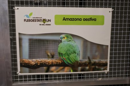 Für die Haltung mancher Arten braucht man spezielle Papiere und diese fehlen natürlich, wenn ein Tier gefunden wird