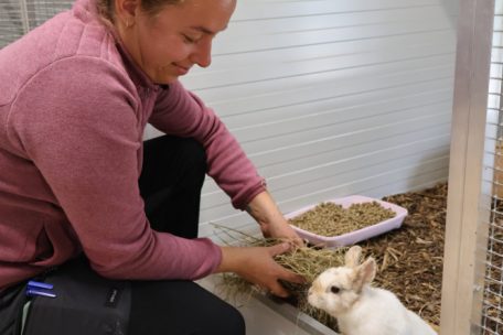 Lucie Posteau und ihr Team kümmern sich mit viel Liebe um gefundene Haustiere, eigentlich ist die Pflegestation aber nicht für diese gedacht