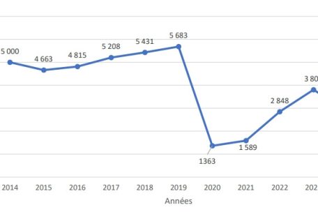 Die Grafik zeigt die Anzahl an jährlichen Konsultationen in der Zeitspanne von 2014 bis 2024