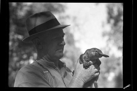 Irrtum der Geschichtsschreibung? / Die lange Reise des Winston: Forscher werfen neues Licht auf den Tod von Churchills Schnabeltier