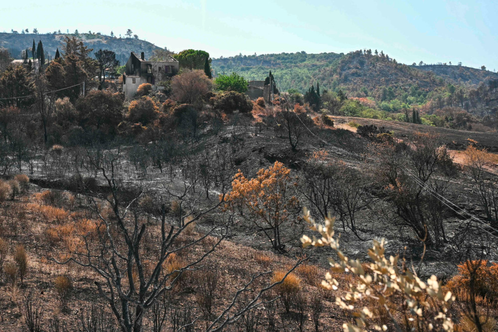 Frankreich / Wetterdienst gibt für Hälfte des Landes Hitzewarnung aus