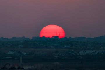 Gaza / Ex-EU-Abgeordnete prangern Israels Politik an – Goebbels und Semedo unter Unterzeichnern