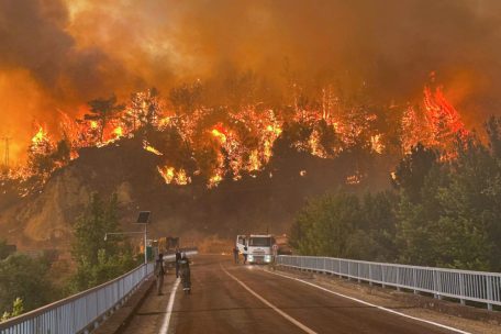 Klimakrise / Europa brennt: Ein Sommer der Waldbrände und Hitzewellen – vor allem im Süden