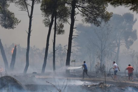 Feuerwehrleute bekämpfen einen Waldbrand in der Nähe der montenegrinischen Hauptstadt Podgorica