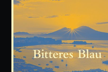 Neapel im Mittelpunkt: das Cover zum Buch