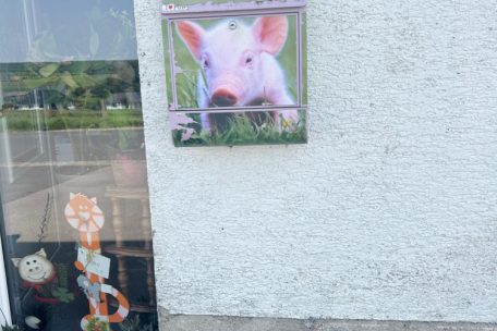 Auch wenn es bei den Siebenallers keine Schweine gibt, so kann nur der Briefkasten eines Bauernhofs aussehen