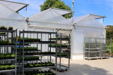 Die Gewächshäuser sind das zweite Standbein des Ateliers
