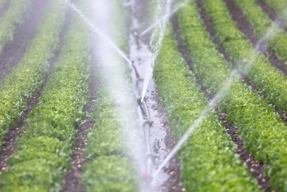 Sprinklerchaos / Landwirt gießt nicht sein Feld, sondern flutet die Autobahn