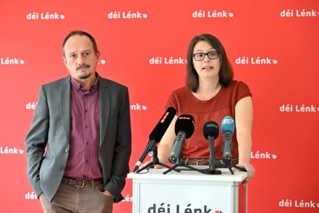 Pressekonferenz zur Rentenreform: Marc Baum mit Carole Thoma (Co-Sprecherin)