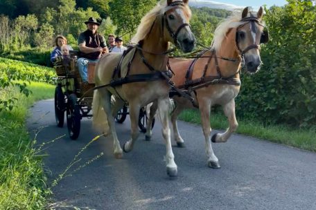 Oft ist Norb mit seinen Gästen auf Tour, sei es für eine gemütliche Fahrt durch die Weinberge oder einen romantischen Ausflug in verschiedene Ortschaften, um sein Wissen über die Region zu teilen