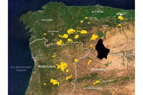 Größenvergleich: Nach vorläufigen Schätzungen des Europäischen Waldbrand-Informationssystems EFFIS wurden seit Jahresbeginn über 3.800 Quadratkilometer Natur in Spanien zerstört. Eine Fläche deutlich größer als das komplette Großherzogtum (2.586 Quadratkilometer).