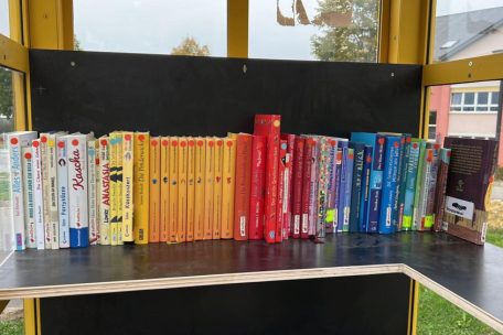 Stöbern, lesen, tauschen / Das Prinzip Bücherschrank ist in vielen Gemeinden angekommen