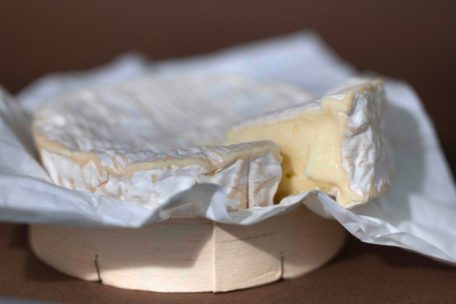 Rückruf / „Petit camembert au lait cru“ der Marke „Gillot“ könnte Kolibakterien enthalten