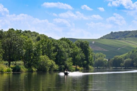 Blaualgenwarnung für die Mosel / Konzentrationen von Cyanobakterien in Luxemburg noch „meist gering“