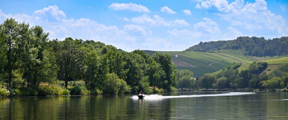 Blaualgenwarnung für die Mosel / Konzentrationen von Cyanobakterien in Luxemburg noch „meist gering“