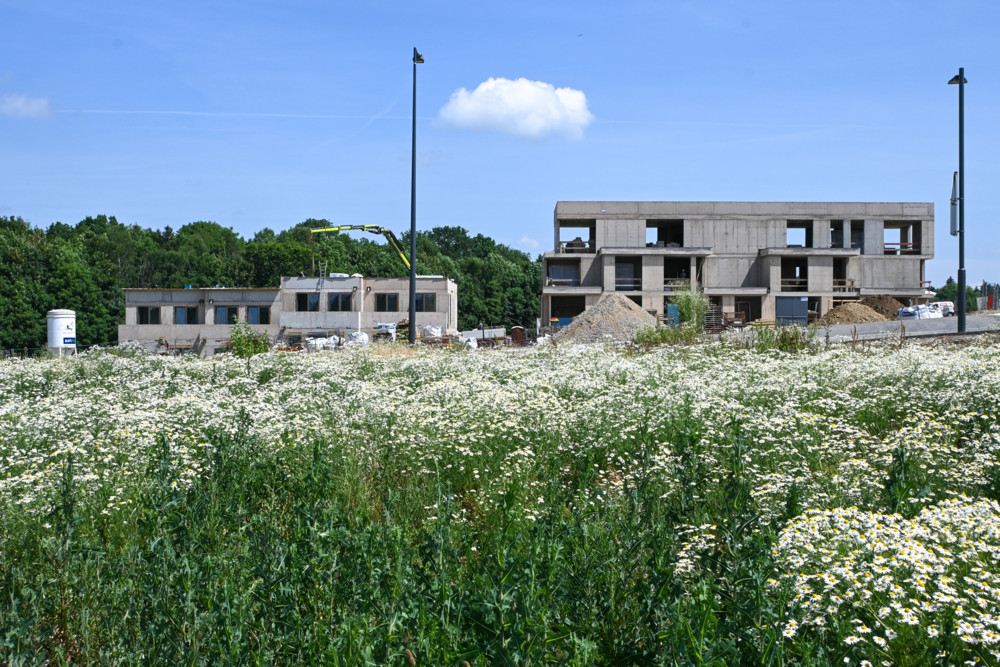 Das große Wohn-Dilemma / Öffentlicher Wohnbau in Luxemburg stockt trotz steigender Nachfrage